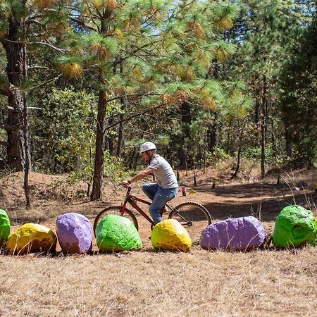 Hotel & Glamping Huasca Sierra Verde Huasca de Ocampo Eksteriør bilde